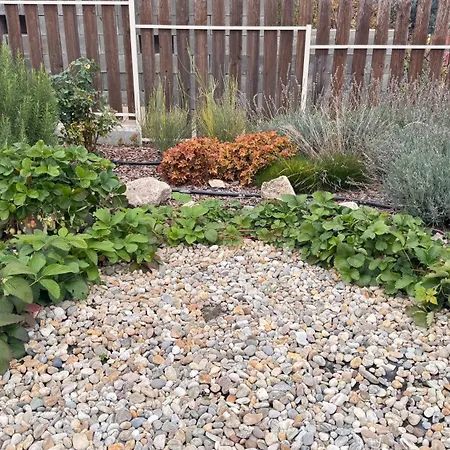 Etyekzen Oda ve Kahvaltı